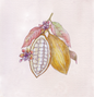 Pastkartes 120 mm x 120 mm